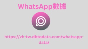 WhatsApp數據 