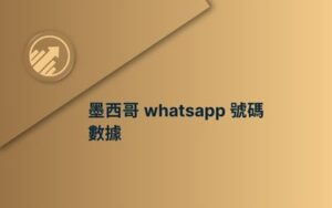 墨西哥 whatsapp 號碼數據